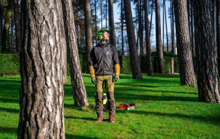 diagnostic de la santé des arbres