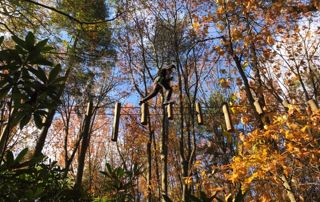 parcours accrobranches