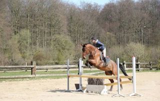 saut d'obstacles à cheval