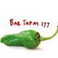 piment logo Bar tapas 177