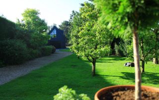 photo d'un jardin