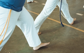 arts-martiaux-dojo-brochet