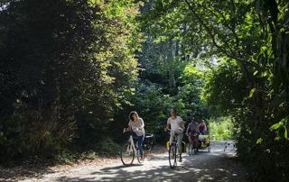 balade vélo forêt