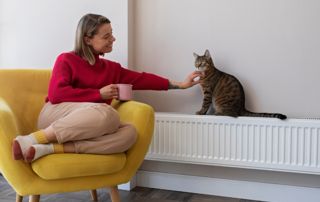 chat sur un radiateur