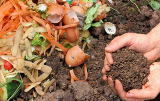 compost avec terre et épluchures