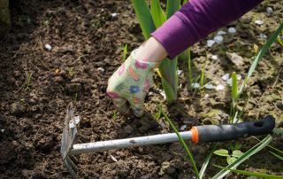 préparation de la terre dans un jardin