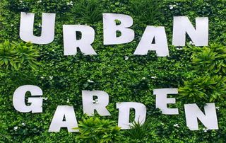 urban garden