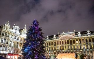 sapin et illuminations sur la Grand Place