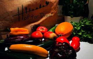 fruits et légumes Hof ter Dreef