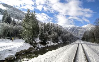 rails au milieu d'une forêt enneigée